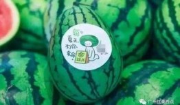 杭州瓜妈最新爆料,揭秘XX事件背后真相